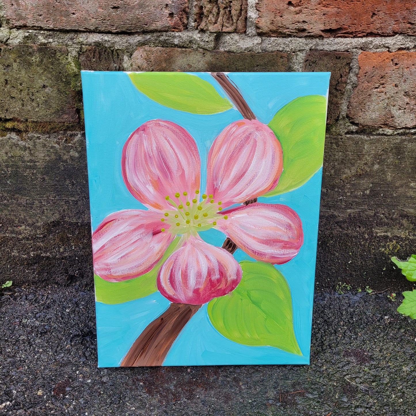 01.23.26 6pm Cherry Blossom Paint Class