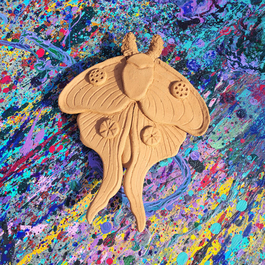 9.16.26 6pm Luna Moth Wall Hanging Ceramics Class