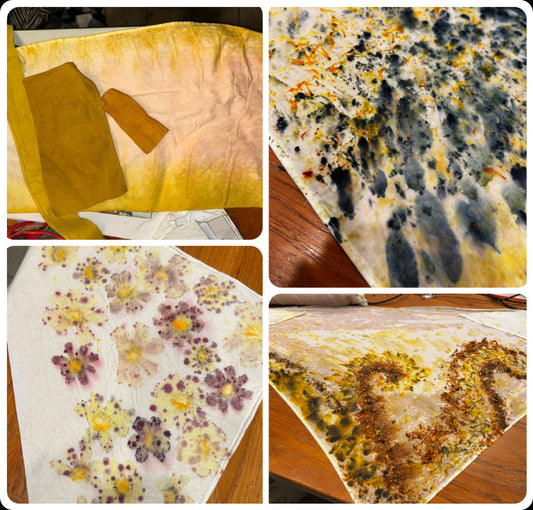 7.11.26 4pm July Queer Art Group - Botanical Dying Chat and Group Project