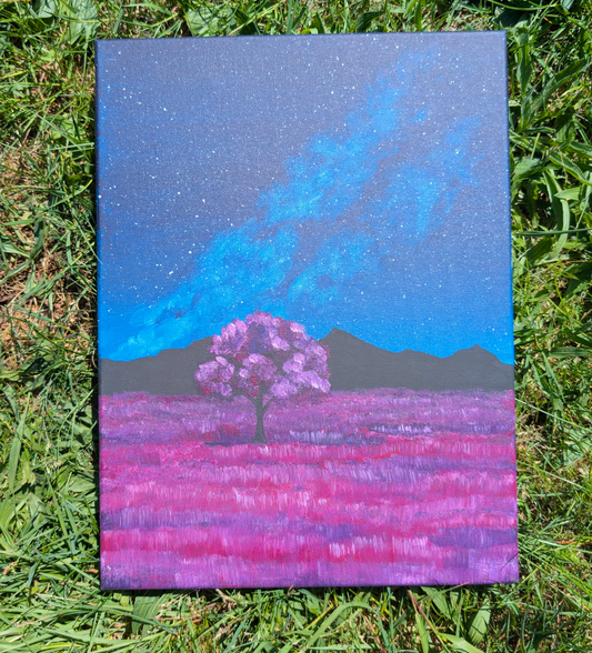 7.16.25 6pm Magenta Fields Paint Class